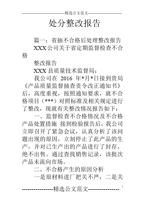 处分整改报告