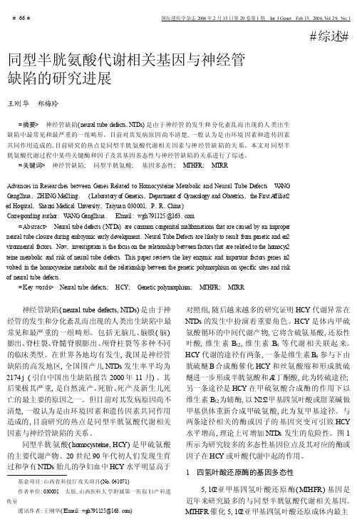 01-同型半胱氨酸代谢相关基因与神经管缺陷的研究进展