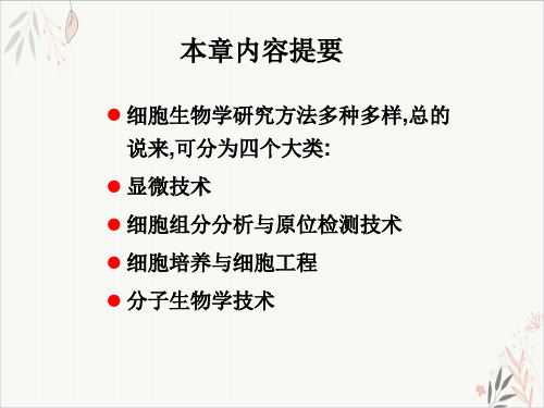 细胞生物学研究方法专题讲座讲解材料课件-PPT