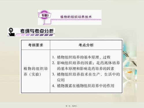 高考生物一轮复习(基础知识整理+重难点聚集)专题3 植物的组织培养技术课件 新人教版选修1