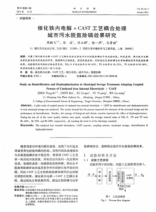 催化铁内电解+CAST工艺耦合处理城市污水脱氮除磷效果研究