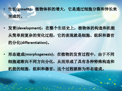 植物体内的细胞信号转导