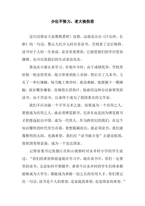 少壮不努力,老大徒伤悲