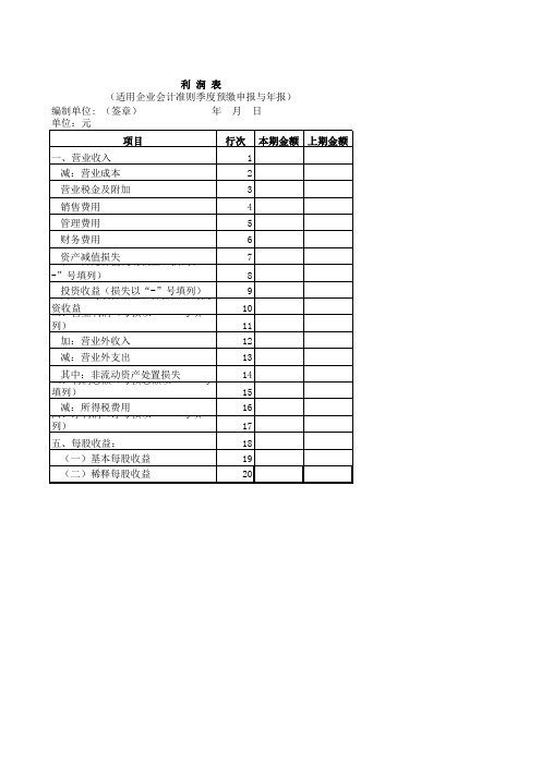 企业会计准则报表模板
