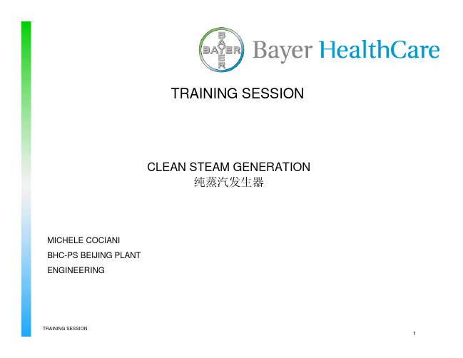 纯蒸汽发生器 CLEAN STEAM GENERATION