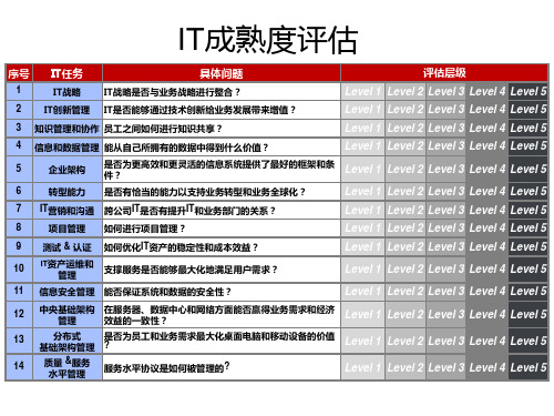 IT成熟度评估模型ppt课件