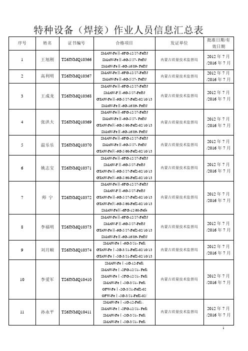 特种设备(焊接)作业人员信息汇总表