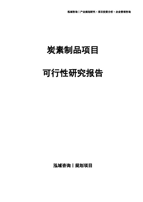 炭素制品项目可行性研究报告