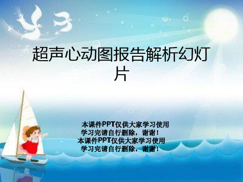 超声心动图报告解析幻灯片