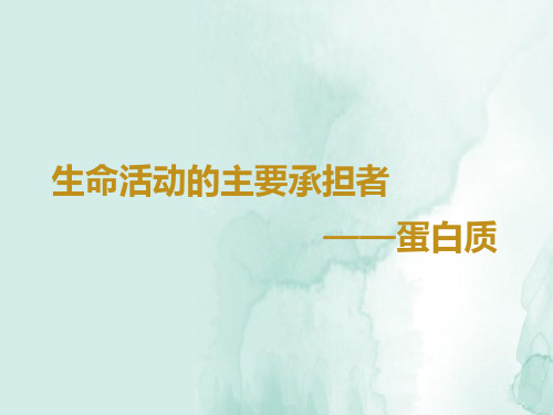 高三生物一轮复习优质课件3：生命活动的主要承担者——蛋白质