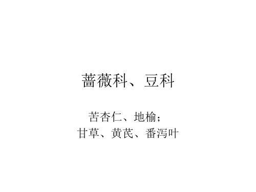 蔷薇科、豆科生药
