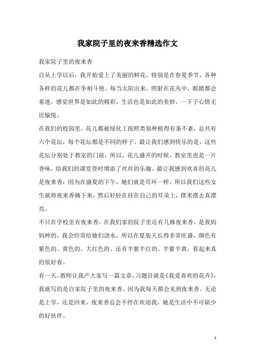 我家院子里的夜来香精选作文