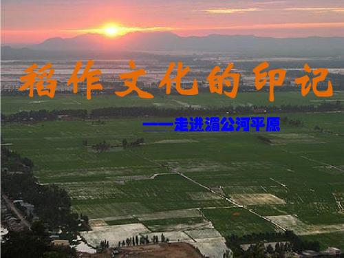 稻作文化的印记