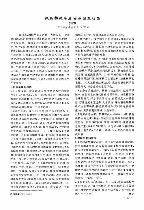 探析棉株早衰的原因及防治