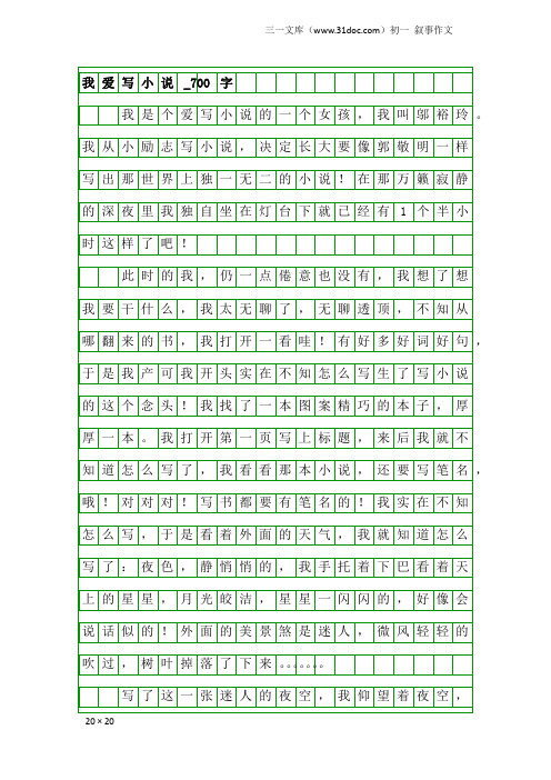 初一叙事作文：我爱写小说_700字