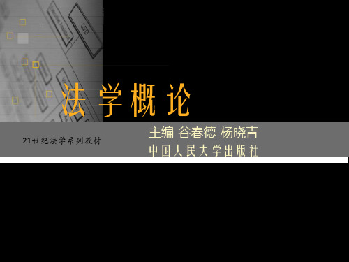 法学概论第十一章[19页]