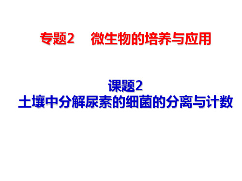 2.2土壤中分解尿素的细菌的分离与计数(上课)