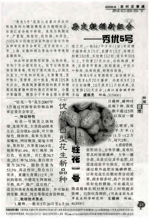 杂交粳稻新组合——秀优5号