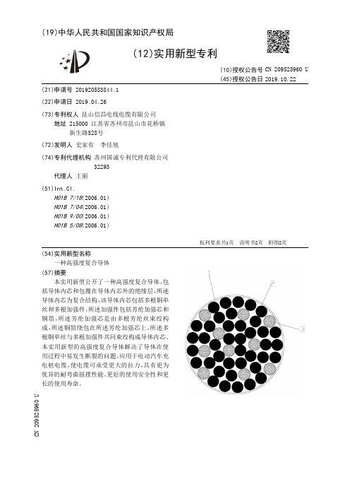 【CN209525960U】一种高强度复合导体【专利】