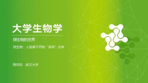 02-微生物：人类离不开的亲密伙伴课件