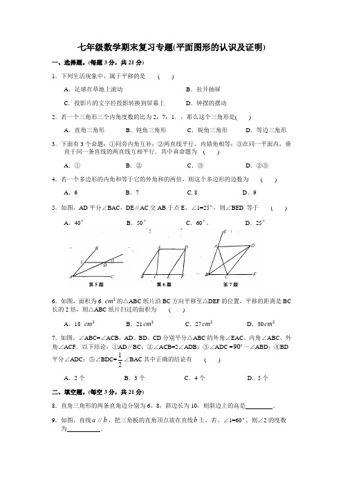 七年级数学期末复习专题(平面图形的认识及证明)