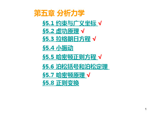 use-第五章分析力学精讲