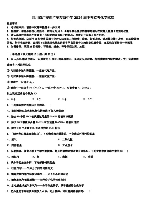 四川省广安市广安友谊中学2024届中考联考化学试卷含解析