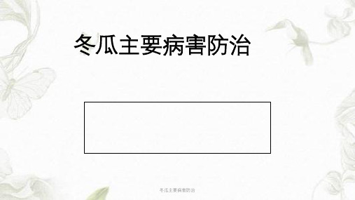 冬瓜主要病害防治ppt课件