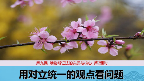 高中政治必修4精品课件3：9.2 用对立统一的观点看问题