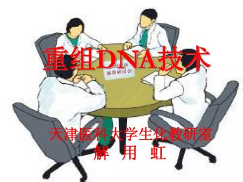 第14章 基因重组和基因工程