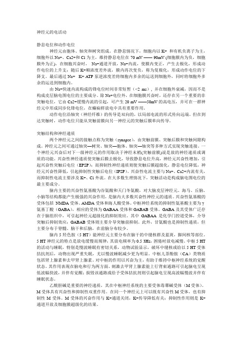 神经元电活动