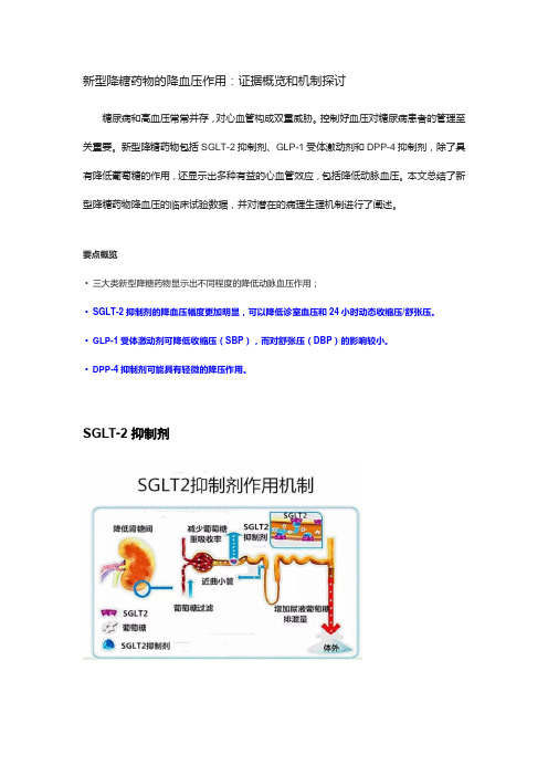 新型降糖药物的降血压作用：证据概览和机制探讨