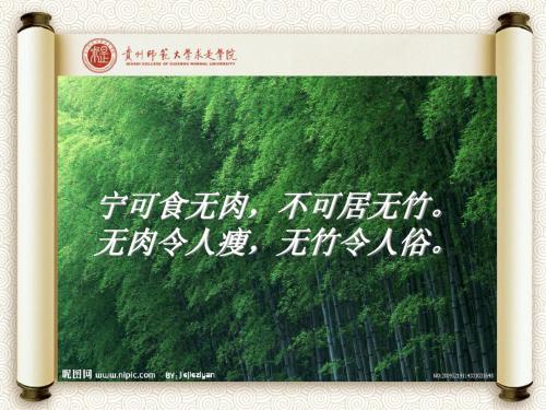中国写意画竹子课件3