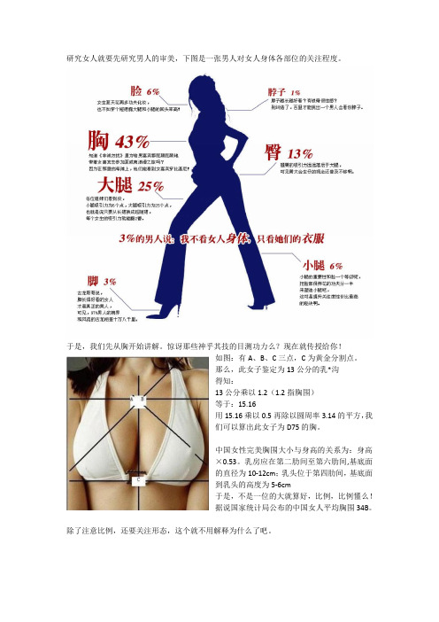 完美女性比例