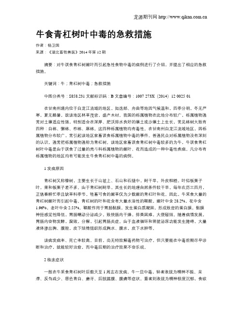 牛食青杠树叶中毒的急救措施