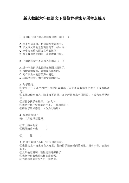 新人教版六年级语文下册修辞手法专项考点练习