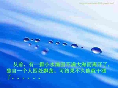 初一政治上学期成功演绎我的社会角色--湘教版(2019)