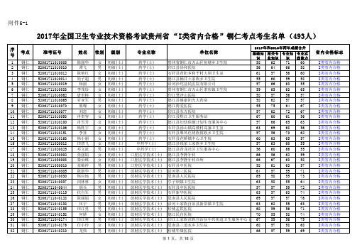 2017年全国卫生专业技术资格考试贵州I类内合格铜