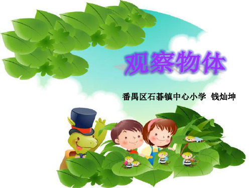 二年级下册数学《信息窗(观察物体)》课件(1) 青岛版