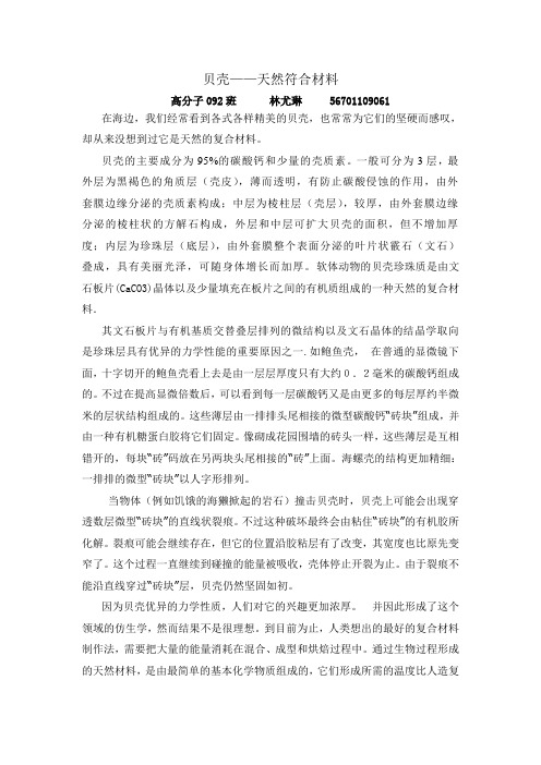贝壳——天然的复合材料