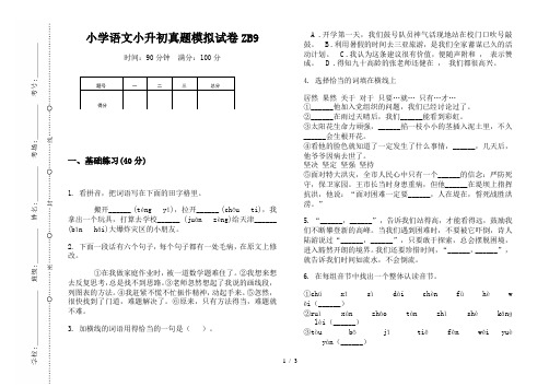 【小学教育】2019最新小学语文小升初(通用版)真题模拟试卷ZB9—8K可直接打印