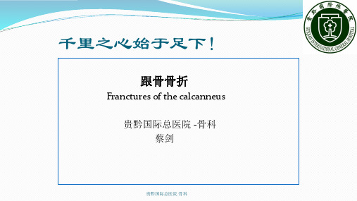 跟骨骨折的治疗