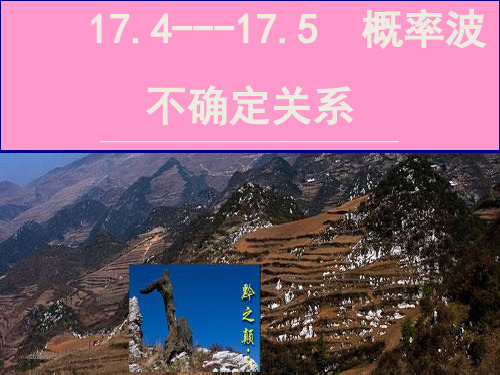 人教版高二物理选修3-5课件：17.4-17.5-概率波---不确定关系(共21张PPT)