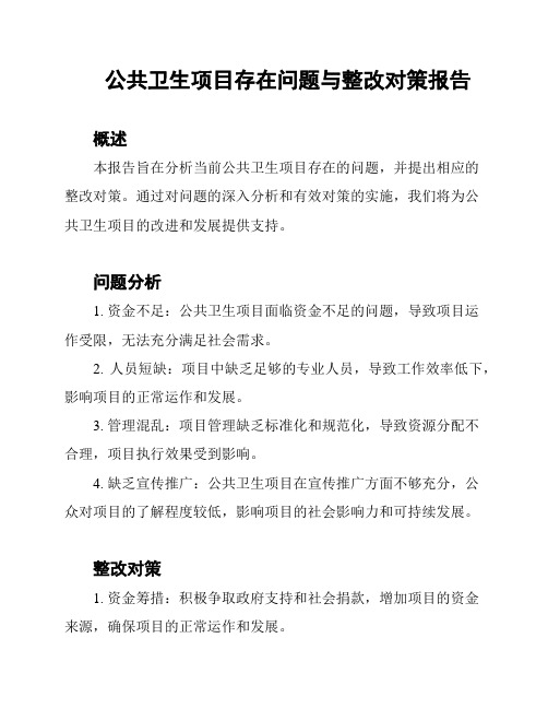 公共卫生项目存在问题与整改对策报告