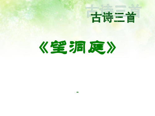 202X语文S版语文四上《望洞庭》ppt课件1