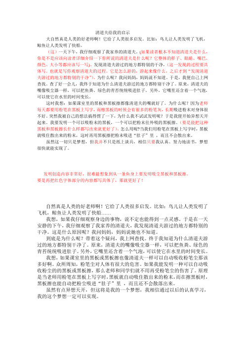 清道夫给我的启示