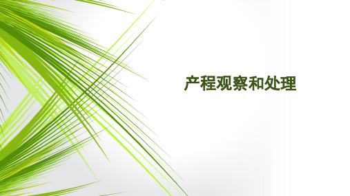 产程观察和处理 ppt课件