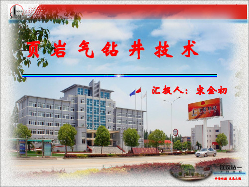 页岩气钻井技术(上)