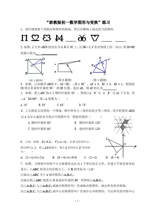 浙教版初一数学图形与变换练习题及答案