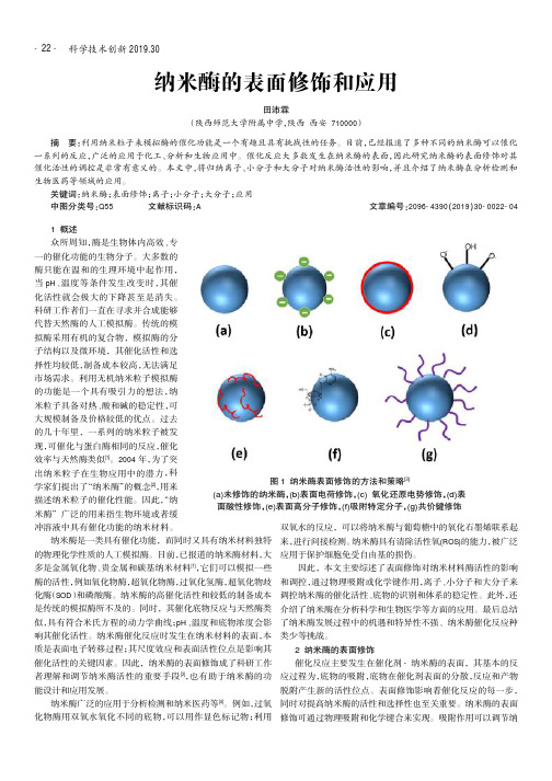纳米酶的表面修饰和应用